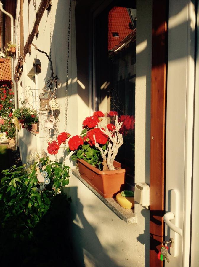 Am Mathildenbrunnen Klein Διαμέρισμα Quedlinburg Εξωτερικό φωτογραφία